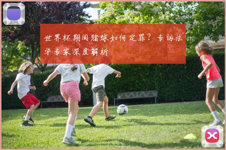 世界杯期间赌球如何定罪?专访法学专家深度解析