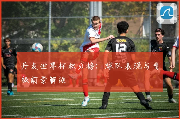 丹麦世界杯积分榜:球队表现与晋级前景解读